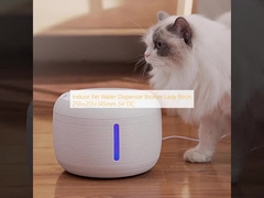 Dispensateur d'eau pour animaux de compagnie intérieur de la résine de la dame de bronze 213 × 213 × 145 mm 5V DC