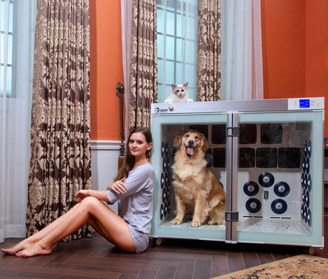 des ventilateurs plus secs de la cage 6 d'animal familier de 220V 2500W à faible bruit pour le toilettage de chien