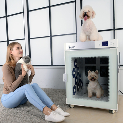Machine Ion Bath Near Infrared Therapy négatif de sèche-cheveux de chien de Cabinet