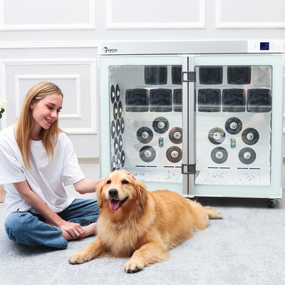Sécurité économiseuse d'énergie de boîte de machine de sèche-cheveux de chien de salon pour le grand chien