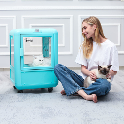 Ventilateur intelligent d'animal familier d'affichage à LED avec l'eau différente de chien de chat de 4 becs