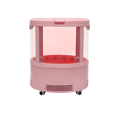 Sèche-cheveux électrique Portable chat et chien Massage nettoyant épilation nettoyage